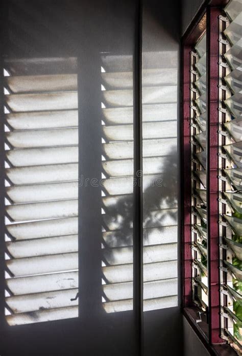 Vistas Estrechas A Las Espeluznantes Sombras De Hojas Con Luces