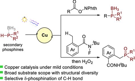 Photoinduced Copper Catalyzed C Sp P Bond Formation By Coupling Of