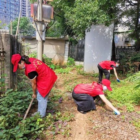 【深化文明创建】迎宾东社区清理小菜园 美化大环境 居民 进行 耿永忠