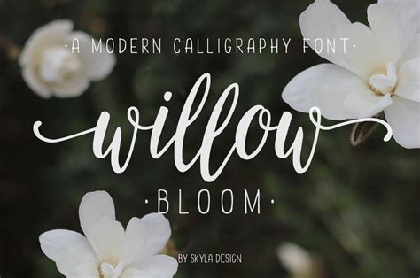 Modern calligraphy font / calligraphy typeface / wedding font