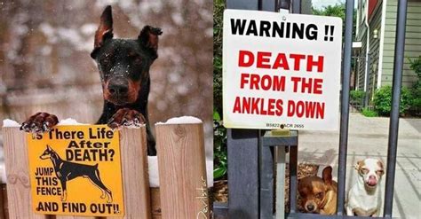 25 Funny Dog Warning Signs That Would Scare Any Intruder