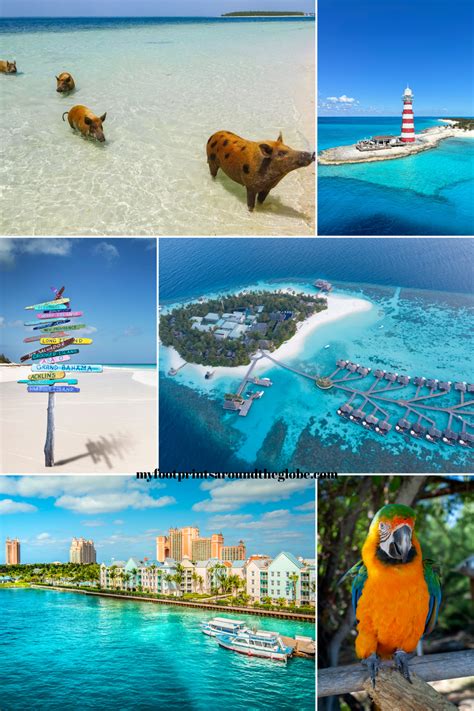 This guide explains the kgx station layout for first time visitors 12