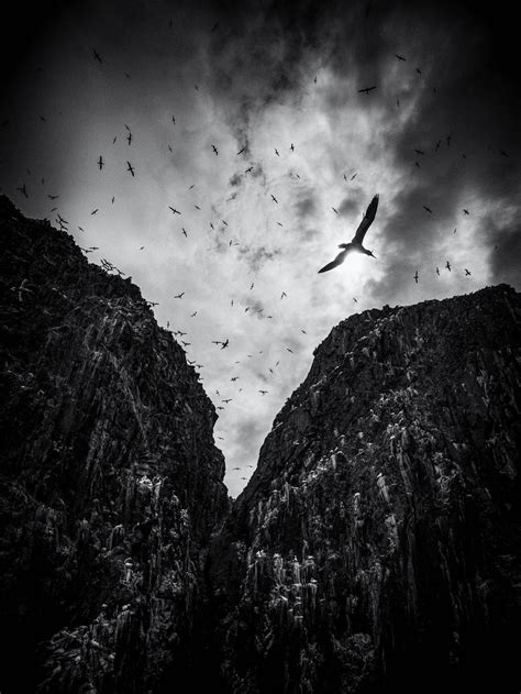 Meet the British Wildlife Photography Award winners | Adventure.com