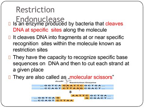 Solution Techniques Involved In Biotechnology How To Solve Problems