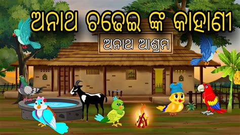 Anatha Chadhei Nka Kahani Odia Story Odia Stories Chadhei