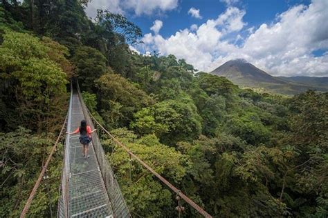 Arenal Hanging Bridges Hiking Tour Triphobo