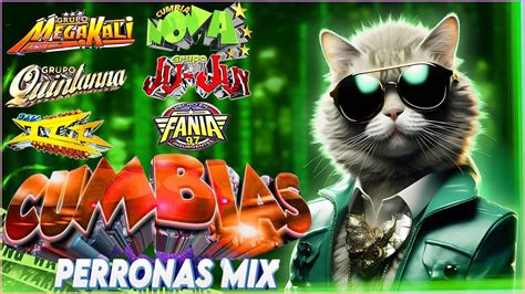 LOS MEJORES CUMBIAS SONIDERAS 2024 MIXCUMBIAS PERRONAS MIX CUMBIAS