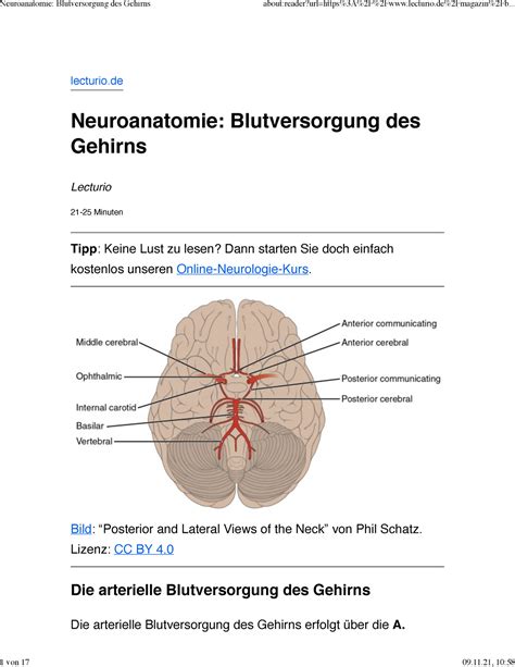 Neuroanatomie Blutversorgung Des Gehirns Lecturio Neuroanatomie