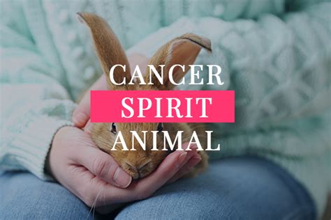 Cancer Spirit Animal