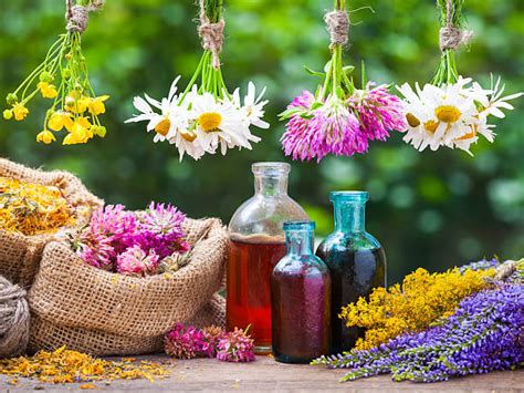 Les Elixirs floraux De la Nature à l Être