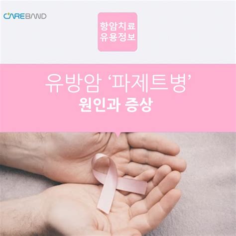 항암치료 유용정보 유방암 파제트병 원인과 증상 네이버 블로그