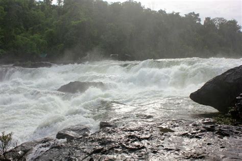 Discovering Cambodia's Cardamom Mountains with kids - MUMMYTRAVELS