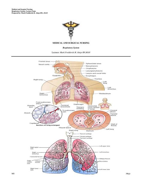 Respiratoryfinal Notes Respiratory System Lecture Notes Prepared By