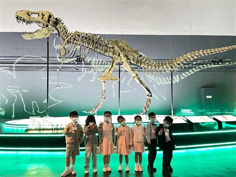 8 11 2022 Field Trips Dinosaur Revelation 主題延展學習參觀活動 香港科學館八大尋龍記