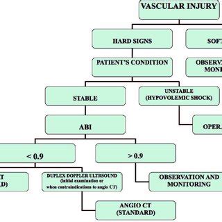 PDF Vascular Trauma