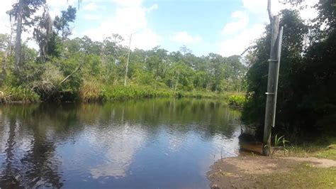 Rio Vista Boat Ramp Franklin Co Fl Near Sopchoppy1 Youtube