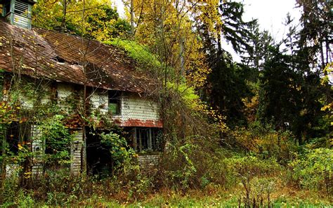 1600x1200 Resolution White House Surrounded By Trees Ruin Alone