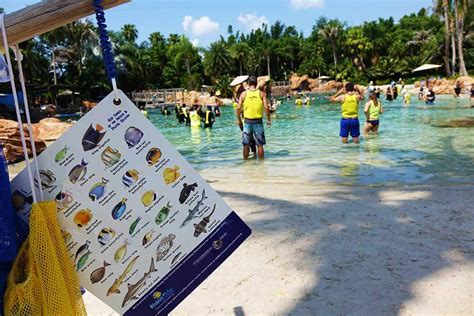 Discovery Cove Map 2019