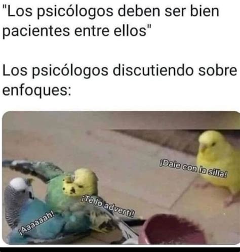 “y Eso Cómo Lo Hace Sentir” Estos Son Los Mejores Memes Del Día Del Psicólogo Infobae