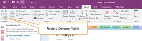 How To Reset Recovery The Size Width Of OneNote Outline Container