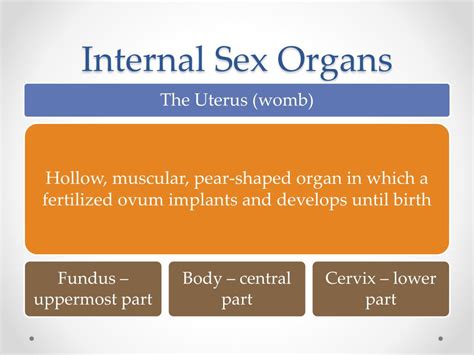 Ppt Female Sexual Anatomy And Physiology Powerpoint Presentation Free Download Id1898208