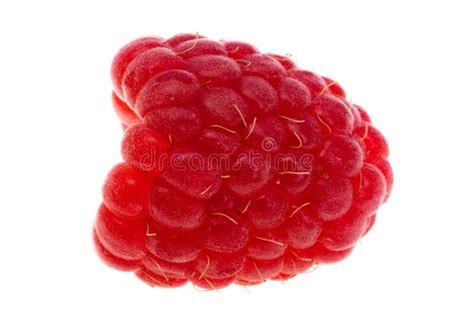 Ripe Red Raspberry Isolated Stock Image Image Of Group Design