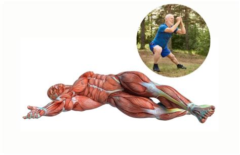 Best Mobility Exercises You Should Be Doing To Improve Your Range Of