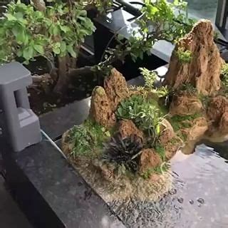 Terrarium Dreams On Instagram On The Edge Of The World With Bonsai