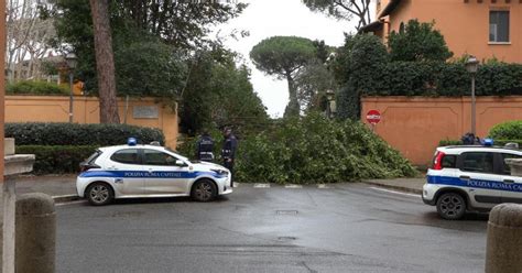 Maltempo Albero Cade Nel Giardino Di Una Scuola A Roma Danni Al Muro