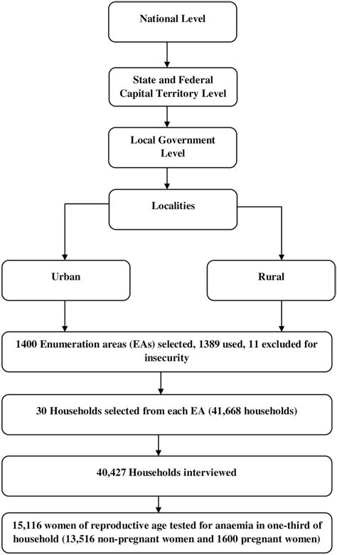 Flowchart For The Sampling Procedure Download Scientific Diagram