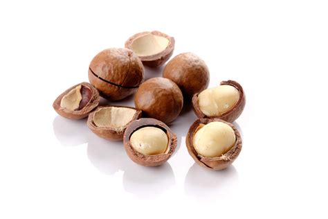 Macadamia N Sse Voller Vitamine Und Proteine Sport Trampen