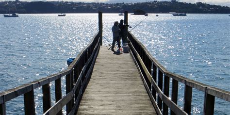 Sconzani Auckland Walks The Herne Bay Beaches