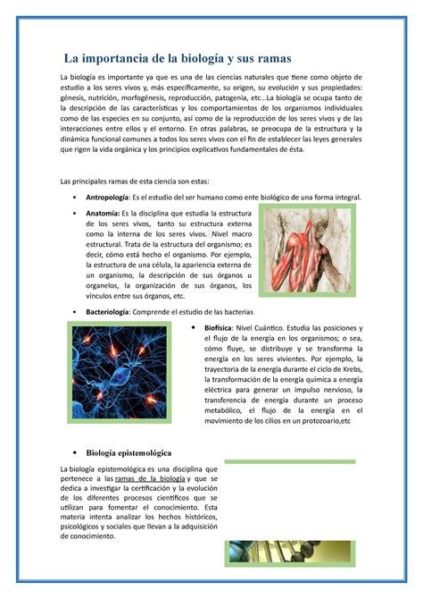 La Importancia De La Biolog A Y Sus Ramas La Importancia De La