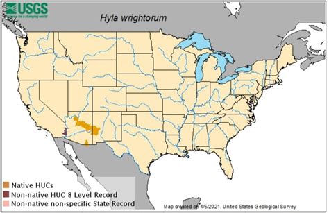 Types Of Tree Frogs Found In New Mexico Id Guide Bird Watching Hq