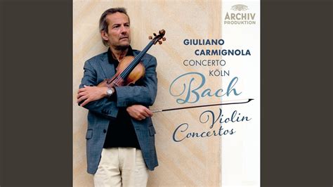 J S Bach Violin Concerto No 2 In E Major BWV 1042 II Adagio