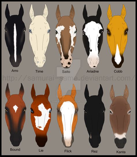 RMs Horse face markings 2 by samuRAI-same on DeviantArt