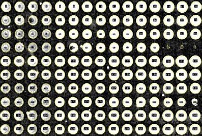 Protein Micro-array Analysis | BIII