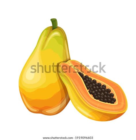 2,248 Slice Papaya Cartoon Images, Stock Photos & Vectors | Shutterstock