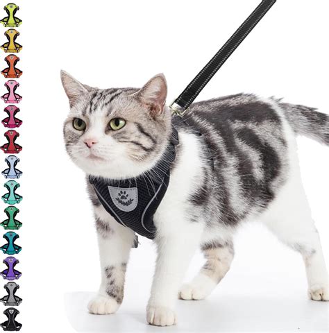 Pet Supplies Petgrove Cat Harness And Leash Set For Walking Escape