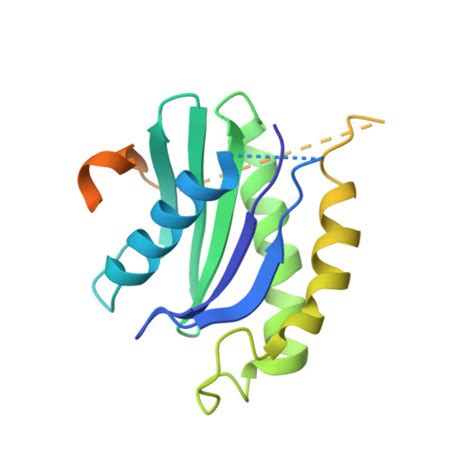 Gene O75396 Protein SEC22B Overview CanSAR Ai