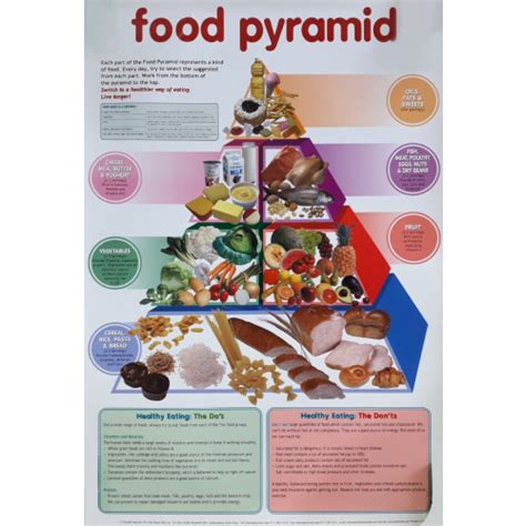 Food Pyramid Chart