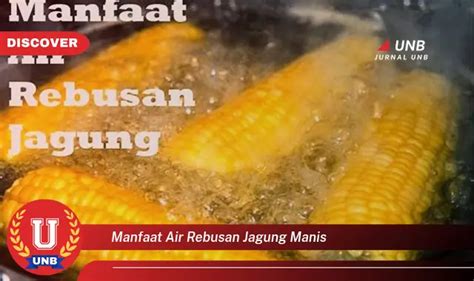 Banyak Yang Belum Tau Ini Dia Manfaat Air Rebusan Jagung Manis Yang