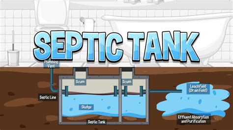 How Much Does It Cost To Pump A Septic T Articles