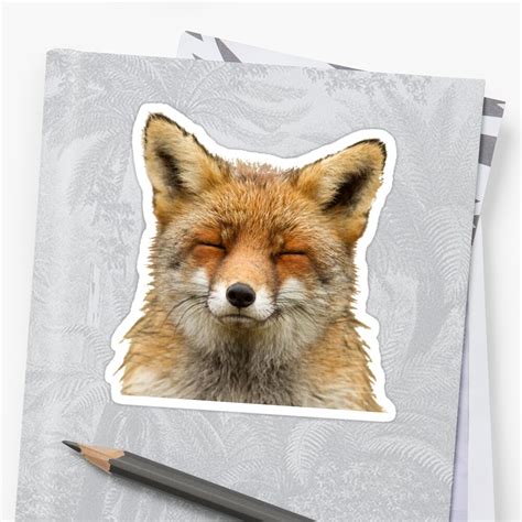 Cute Fox Stickers By Dh8042 Redbubble