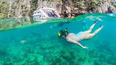 Explore The Beauty Of Phi Phi Lay Phi Phi Don Maya Bay And Khai