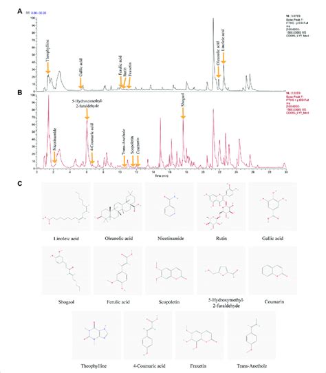 Identification Of Chemical Components Of HeidihuangWan Decoction