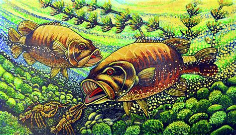 Smallmouth Bass Painting at PaintingValley.com | Explore collection of ...