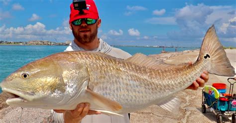 The Best Bait Rig For Catching Redfish At The Jetty