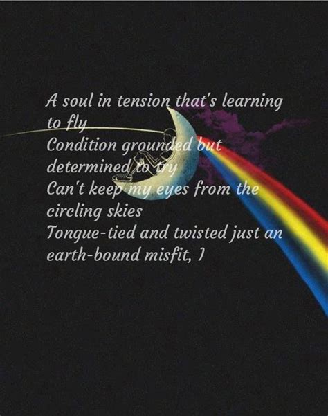 Pink Floyd Tumblr Quotes