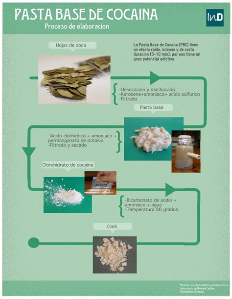 la Pasta Base de Cocaína